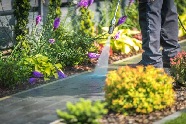 Best Soft Washing for Delicate Surfaces in Greybull, WY
