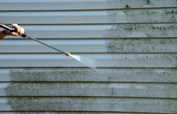 Best Building Exterior Pressure Washing in Greybull, WY